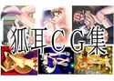 きつね耳CG集 ViXeNsHEAVENのジャケット|エロ同人