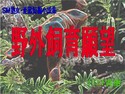 SM熟女・変態短編小説集「野外飼育願望」のジャケット|エロ同人