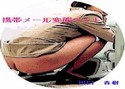 携帯メール変態ペットのジャケット|エロ同人