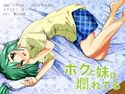 ボクと妹は爛れてるのジャケット|エロ同人
