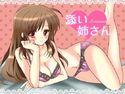 添い姉さんのジャケット|エロ同人