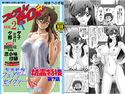 フェアリーセイバーVOL2Aのジャケット|エロ同人