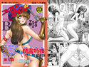 フェアリィセイバーVOL2 Bのジャケット|エロ同人