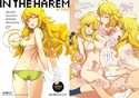 in the Harem A-sideのジャケット|エロ同人