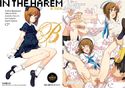 in the Harem B-sideのジャケット|エロ同人