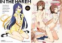 in the Harem C-sideのジャケット|エロ同人