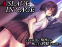 A SLAVE IN CAGE ~ある日JKに痴漢され焦らされ搾精される僕~のジャケット|エロ同人